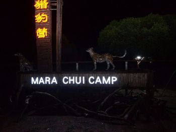 ホテル Mara Chui Camp Ololaimutiek エクステリア 写真